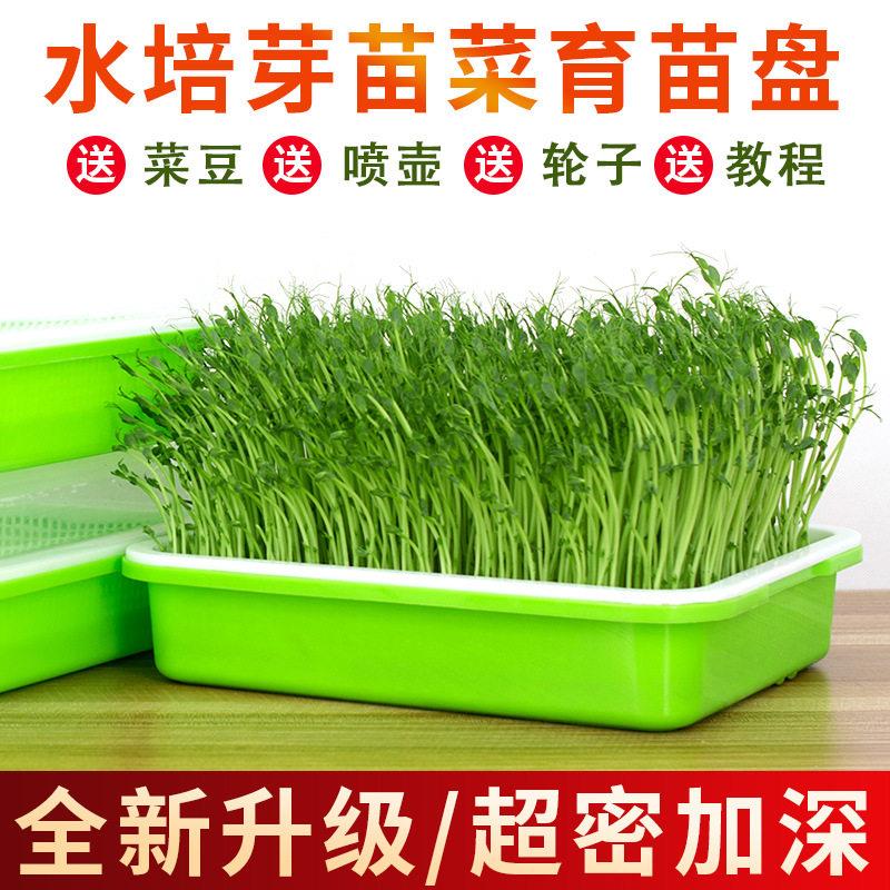 芽苗菜育苗盘水培蔬菜种植盆架阳台纸上种菜保温加密盘豆芽菜托盘