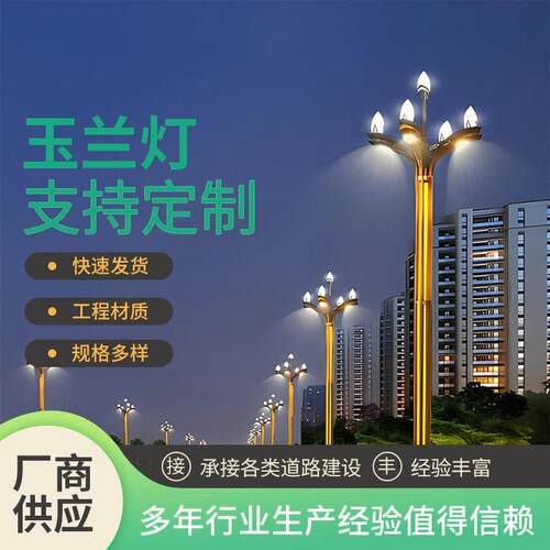新款玉兰灯八叉九火10米12米道路广场景观灯小区户外中华灯具厂家