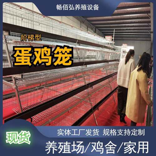 多层蛋鸡笼热镀锌丝材质阶梯层叠式养殖鸡窝设备A型简易式鸡舍笼