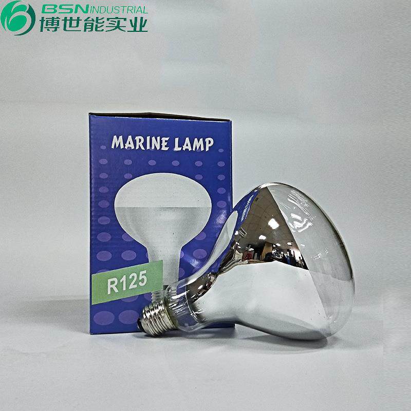 出口装红外线保温灯泡110V250W 透明b玻璃加热灯泡食品保温灯 - 实物图