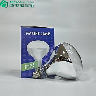 出口装红外线保温灯泡110V250W 透明b玻璃加热灯泡食品保温灯