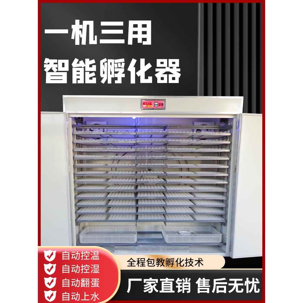 采购产品全自动鸡蛋培养箱,鸡蛋培养箱,大,中,小型培养箱,家