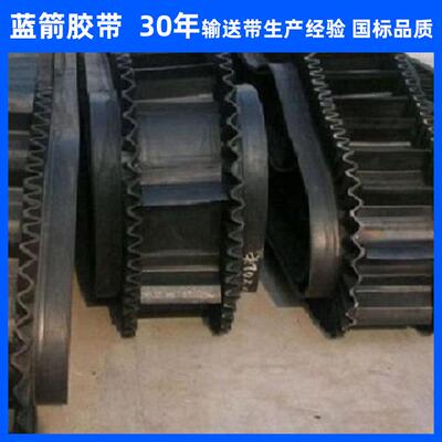 河北蓝箭聚酯帆布EP200 B500-2200 S60-S600大倾角输送带