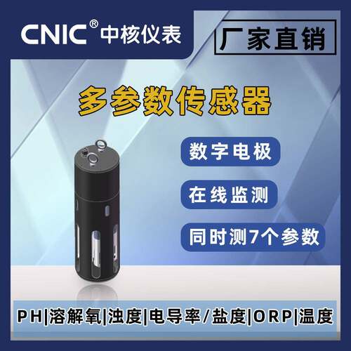 测量PH溶解氧电极浊度电导率探头盐度ORP温度的传感器多参数