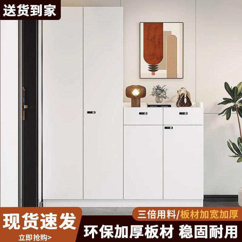 定制玄关柜家用门口2024新款爆款室内入户鞋柜一体多层有门柜子