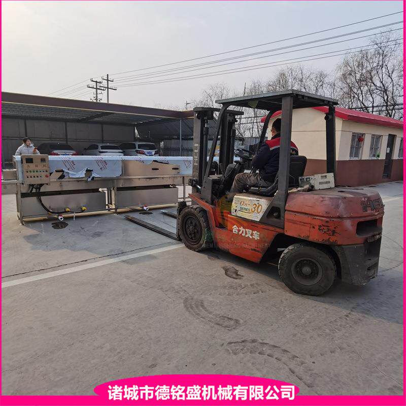 牛肉瓶子清洗机 隧道式洗马口铁罐瓶设备 双轨链条玻璃瓶冲洗机
