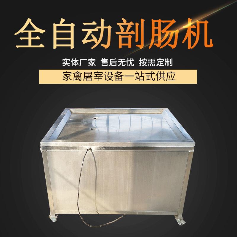 厂家直供禽类剖肠设备鸡肠剖切机全自动不锈钢麻辣鸭肠剖肠机