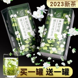 广西横县茉莉花茶2023新茶茉莉花，绿茶特级浓香型，茶叶共500克横州
