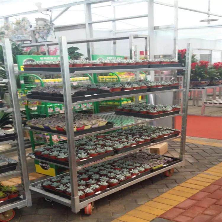 蔬菜育苗架花架车焊接网花卉台车热镀锌处理农场培育架