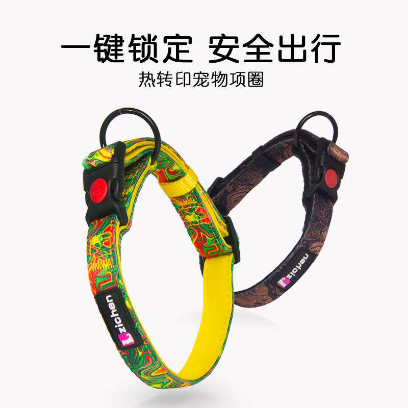 宠物狗狗项圈小型犬法斗柴犬金毛中大型犬颈圈拉布拉多狗牌狗脖圈