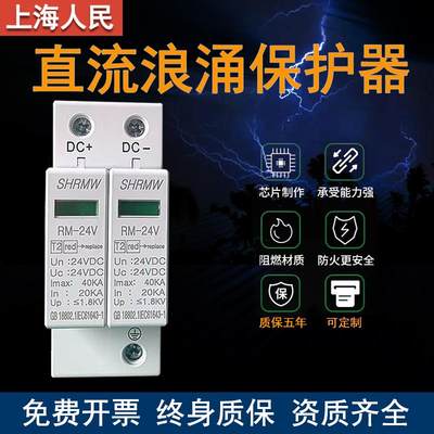 上海人民2P直流光伏电源防雷DC24V12V浪涌电涌保护器监控SPD模块