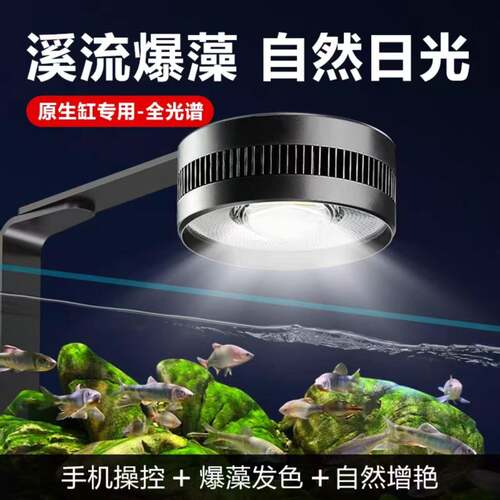 全光谱鱼缸灯溪流缸LED灯专用简灯照明灯爆藻灯原生溪流鱼缸防水