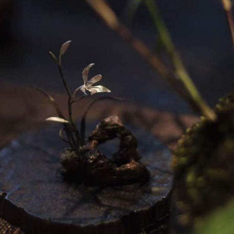 月拾伍 银兰花香插太湖石黄铜高端香插茶台摆件家居装饰台面饰品