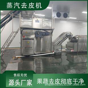 18T葡萄脱皮机 番茄酱加工去皮设备果蔬蒸汽去皮机时产1