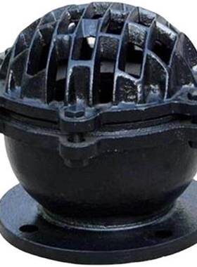 铸铁法兰底阀 H42X 单向阀丝口水泵新型底阀止回阀 H12X DN80 100