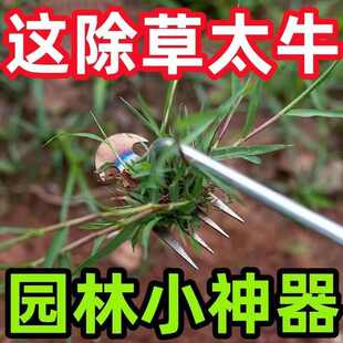 除草神器连根工具园艺四齿耙子锰钢菜园锄草拔草松土铲挖野菜锄头