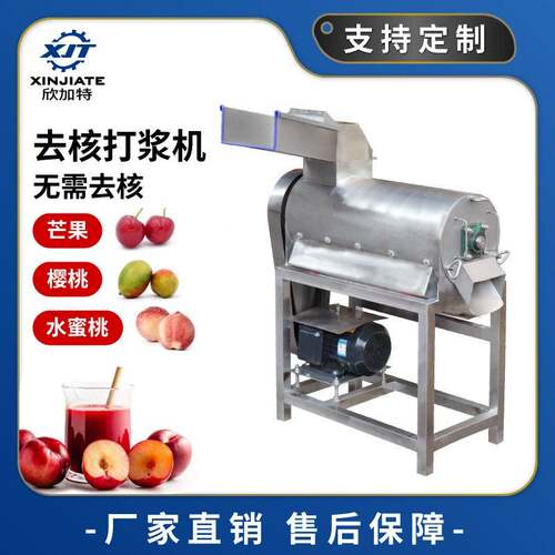 不锈钢打浆机去核打浆机果蔬加工樱桃打浆机芒果去皮打浆机