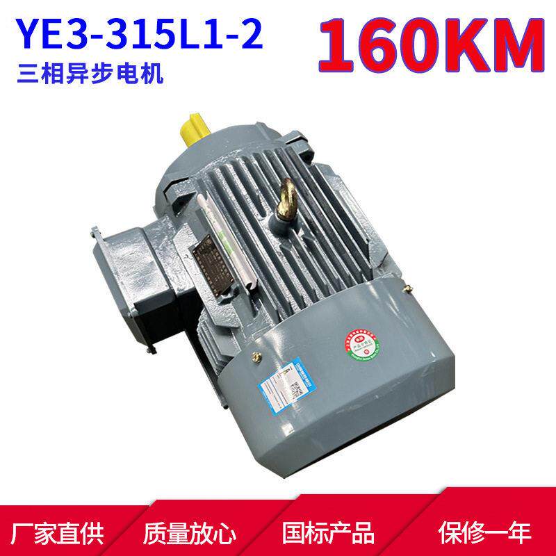 YE3系列马达三相异步电动机YE3-315L1-2160W2极三相异步电机
