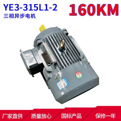 YE3系列马达三相异步电动机YE3-315L1-2160KW2极三相异步电机