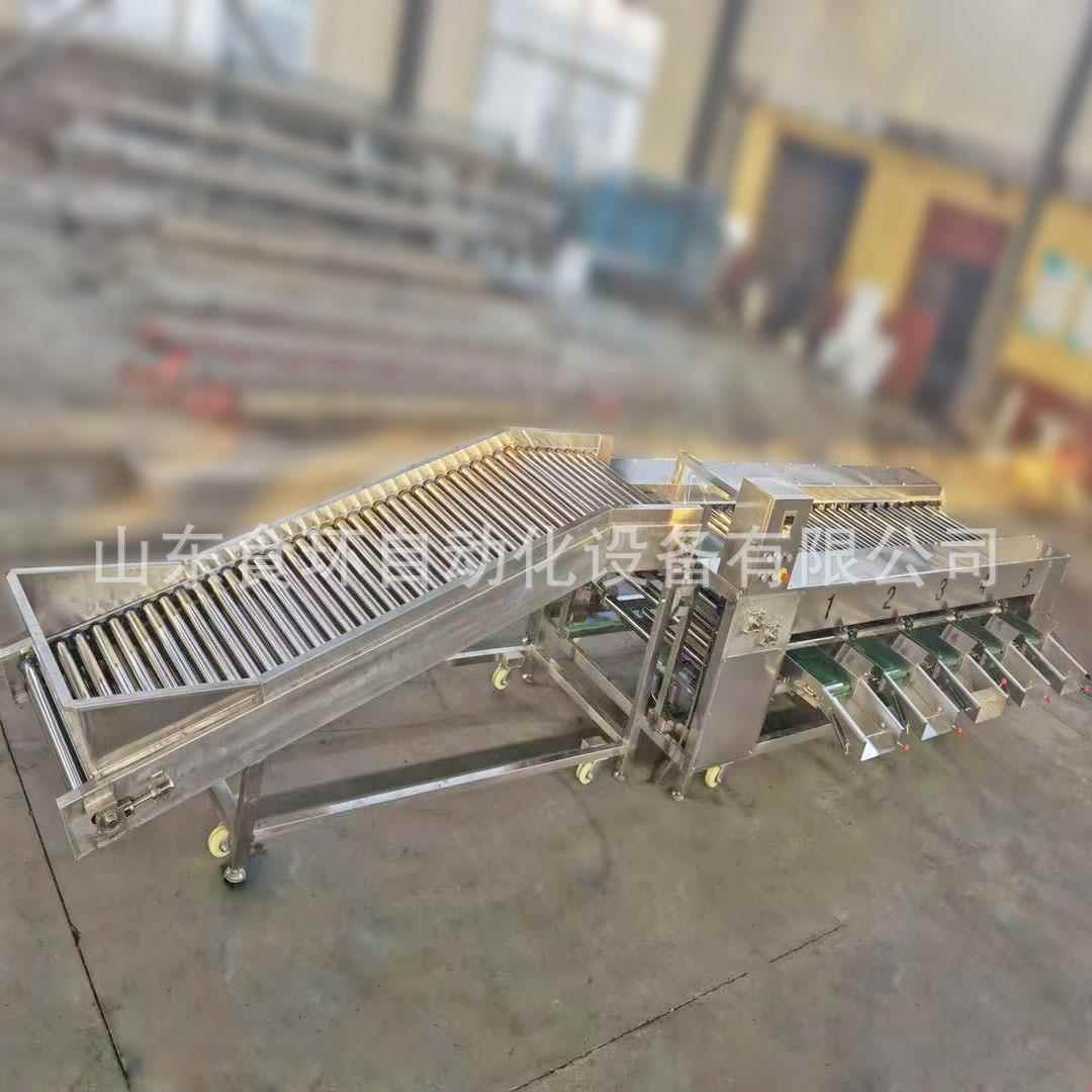 苹果雪梨滚杠分级机厂家现货供应农贸果蔬大小分选机瓜果分级机