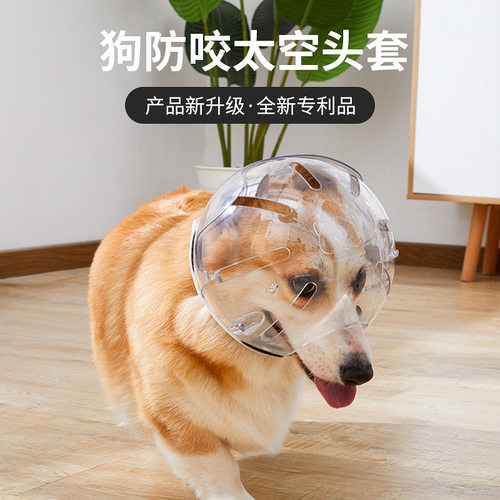 宠物用品狗狗头套防咬透气猫咪塑