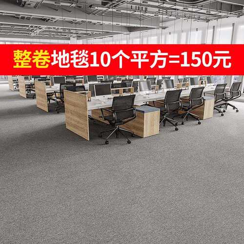地毯地垫全铺商用办公室整铺满铺水泥地面直接铺卧室摄影棚高密