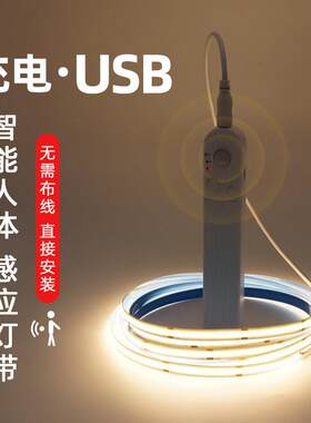 感应灯带led床头气氛灯带USB卧室人体过道插电式衣柜书柜床边整体