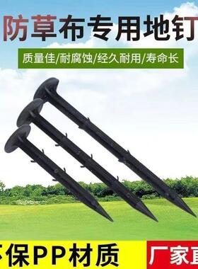 加粗加大黑色塑料地钉新型大鹏农用地钉防除草布钉子加厚