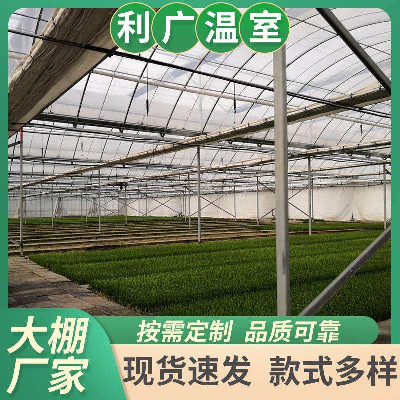 采摘大棚农作物温室草莓葡萄采摘温室工程