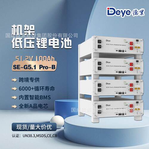 欧版5度电机架式低压锂电池51.2V100AhSE-G5.1Pro-B