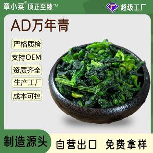 脱水万年青袋装嫩菜心菜干油菜头火锅泡面凉拌配菜脱水菜芯青菜干