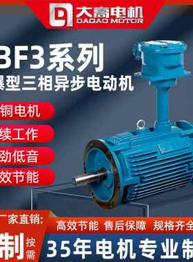 大高YBF3风机用隔爆型三相异步电动机380/660V立卧式多种规格电机