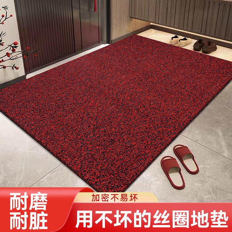 入户门地垫丝圈脚垫可裁剪进门门口防滑垫免洗耐脏塑料玄关蹭脚垫