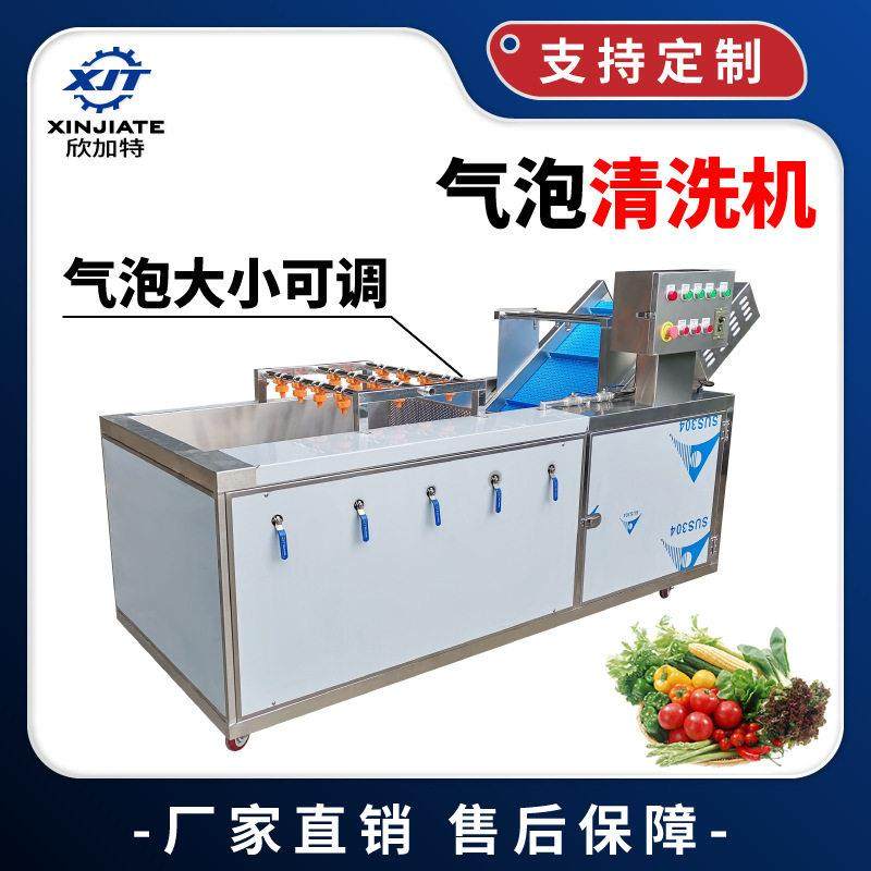厂家直销全不锈钢蔬菜清洗机 气泡清洗机 净菜加工果蔬臭氧洗菜机