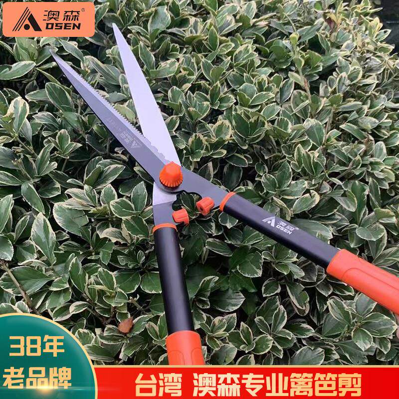 台湾澳森修枝剪绿篱剪园艺篱笆剪花草树枝剪草坪粗枝园林剪刀工具
