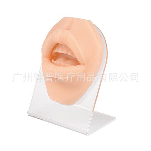 仿真人体嘴巴模型缝合穿孔穿刺练习嘴巴模型嘴钉唇钉展示道具