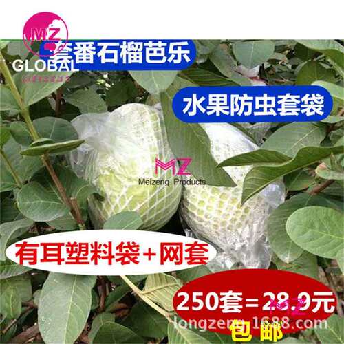 美曾番石榴套袋水蜜桃水果网套一体套袋有耳型防虫防鸟泡沫网胶袋