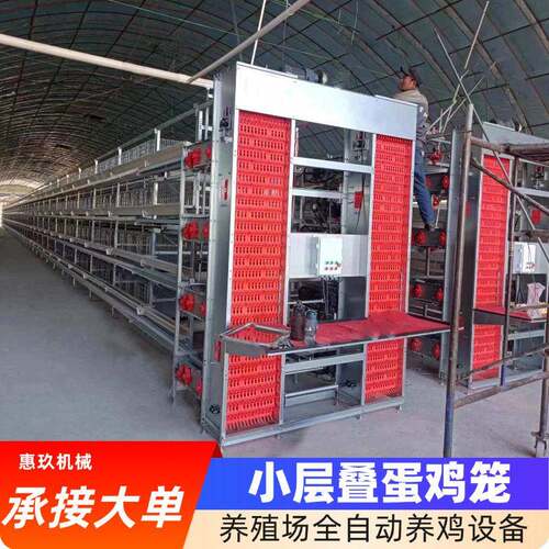小层叠蛋鸡笼厂家供应热镀锌喂料鸡舍自动捡蛋集设备养鸡自动料线