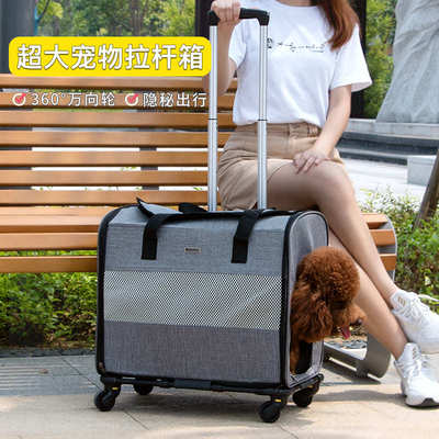 DODOPET宠物外出拉杆包猫咪旅行行李箱便携可折叠车载狗笼狗包