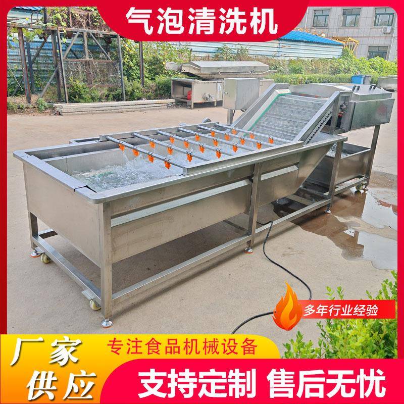 工厂用中药材气泡清洗机麦冬鼓泡喷淋清洗去杂设备桔梗喷淋清洗线
