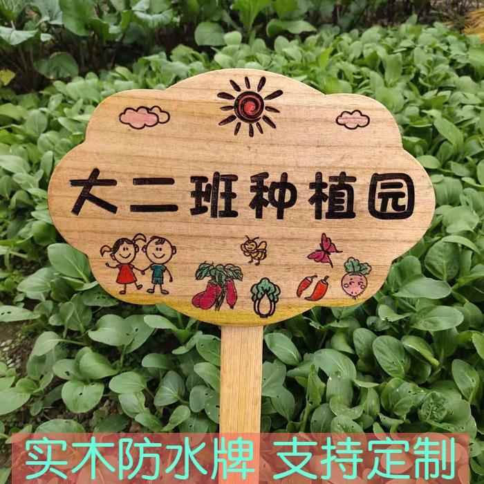 木牌定制幼儿园种植区插牌学校农场菜园牌花园装饰牌实木防水防腐
