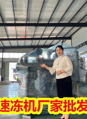 鱼糜调理制品速冻设备 隧道速冻机 鱼糜深加工速冻冷冻生产线
