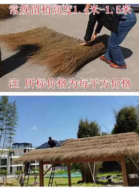 条竹枝农家稍竹枝围墙户外栅栏丝直销竹屋顶装饰庭院楠宿篱笆细民
