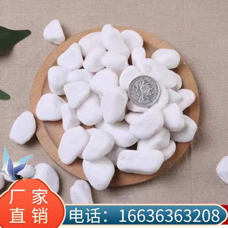 广东直销白色鹅卵石石子庭院铺路铺地小白石头造景景白石子鹅卵石