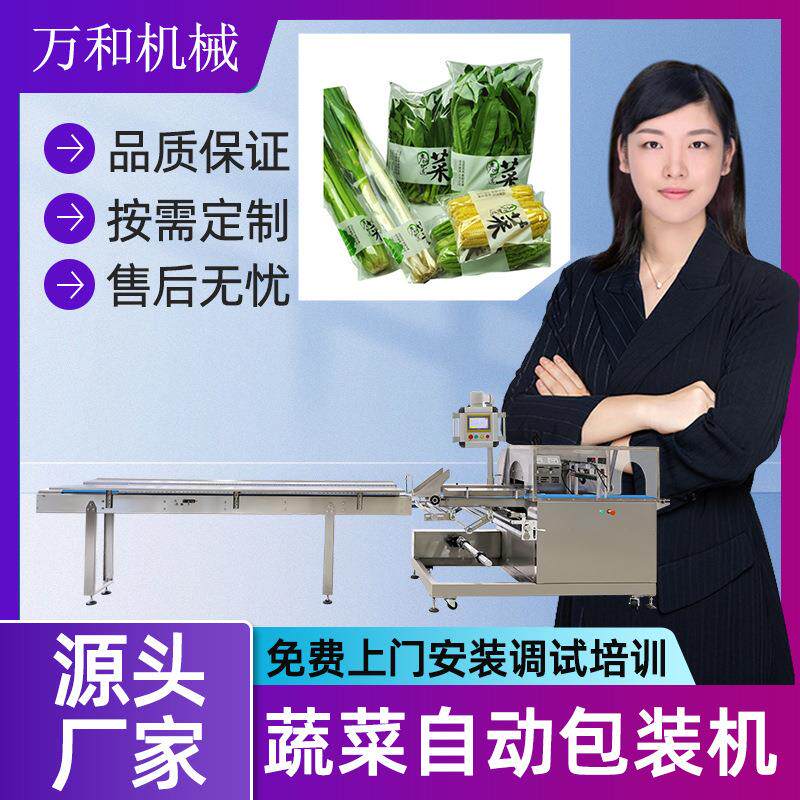 蔬菜包装机全自动水果打包套袋机瓜果青菜娃娃菜玉米枕式包装机械