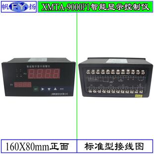 XMTA-9000P1显示仪 数字显示仪 智能数字显示仪 调节仪 控制仪