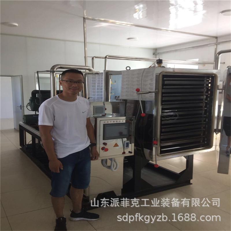 1平米果蔬类冻干机柠檬真空冷冻干燥机莲藕冷冻烘干机设备厂