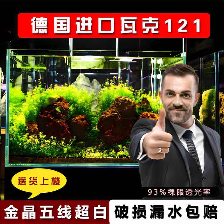 汇鼎金晶五线超白玻璃鱼缸生态缸溪流缸金鱼缸造景缸乌龟缸裸缸