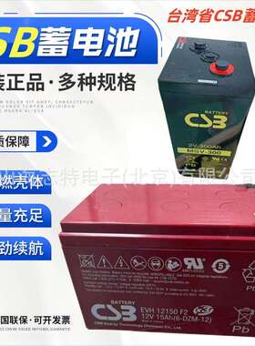 CSB蓄电池TPL12900/12V90AH狭长形 UPS电信机房基站 希世比蓄电池