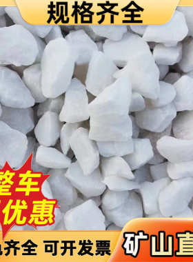 白色水磨石子日式枯山水白石子白色砾碎石园林造景白水洗石鹅卵